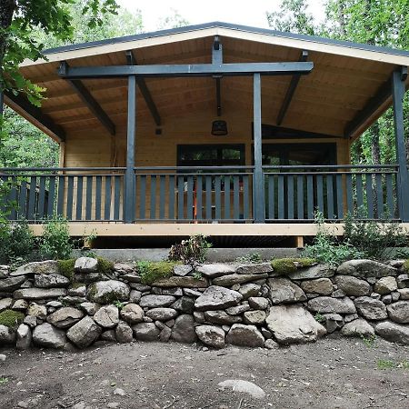 Camping Le Soleil Vivario  Exteriör bild